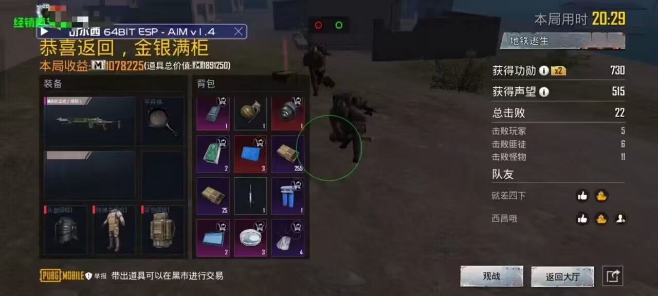 手机和平精英辅助透视